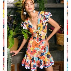 Celia B Azalea dress size S